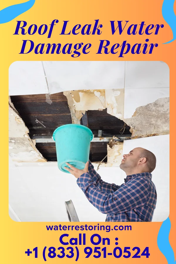 Roof Leak Water Damage Repair in North St. Paul, MN