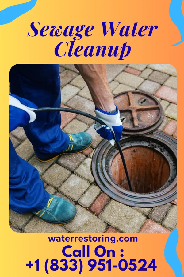 Sewage Water Cleanup in North St. Paul, MN