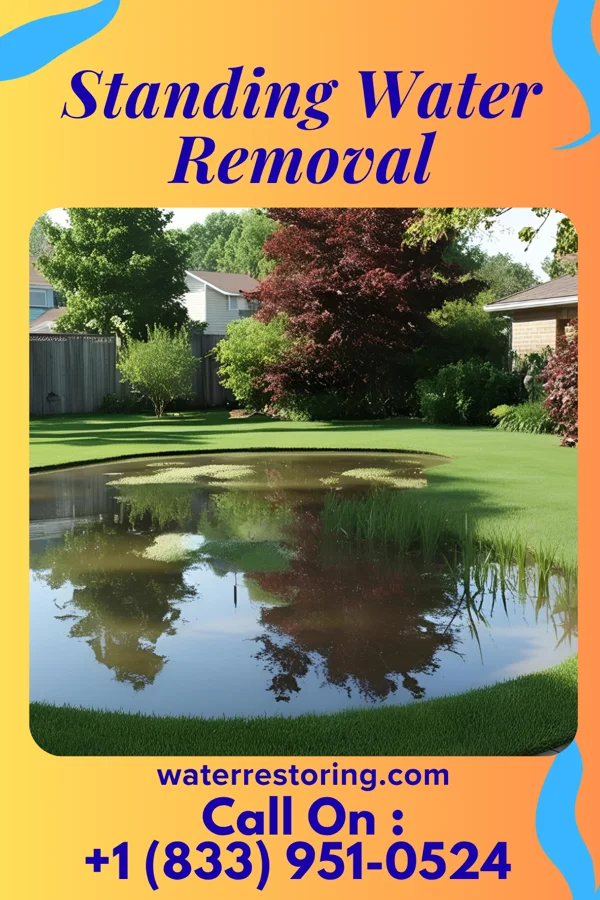 Standing Water Removal in North St. Paul, MN